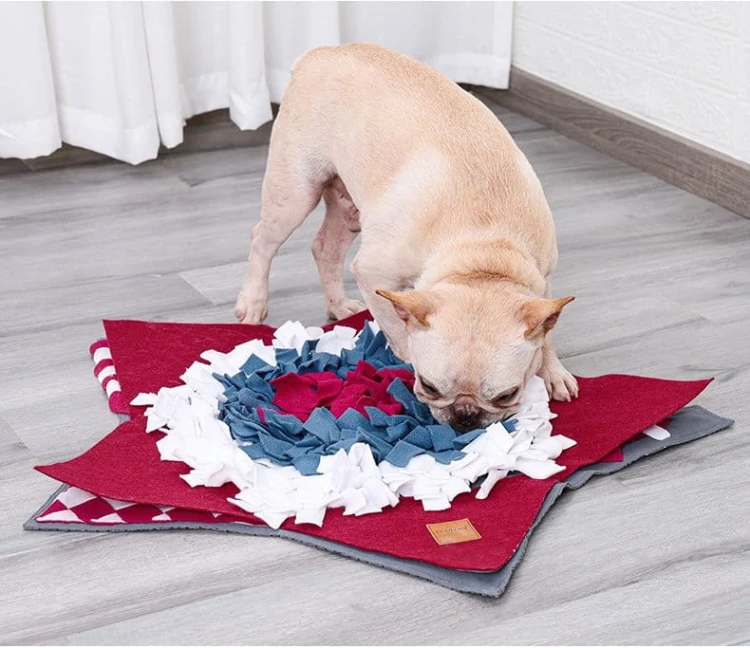 DOGLEMI Mata węchowa GWIAZDA dla psa i kota