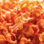 Cooka’s Cookies CARROT FLAKES Płatki z marchewki 140g dla psa