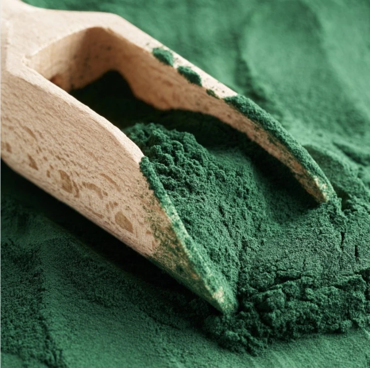 Cooka’s Cookies GREEN SPIRULINA 45g dla psa