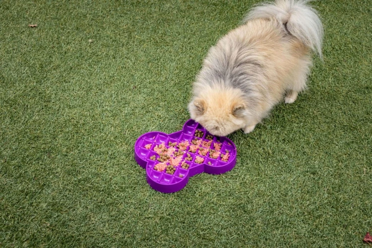 ZESTAW! Cooka’s Cookies REAL TURKEY Karma mokra dla psów z indykiem 400g + Miska slow food spowalniająca jedzenie SMALL SLODOG® turkusowa