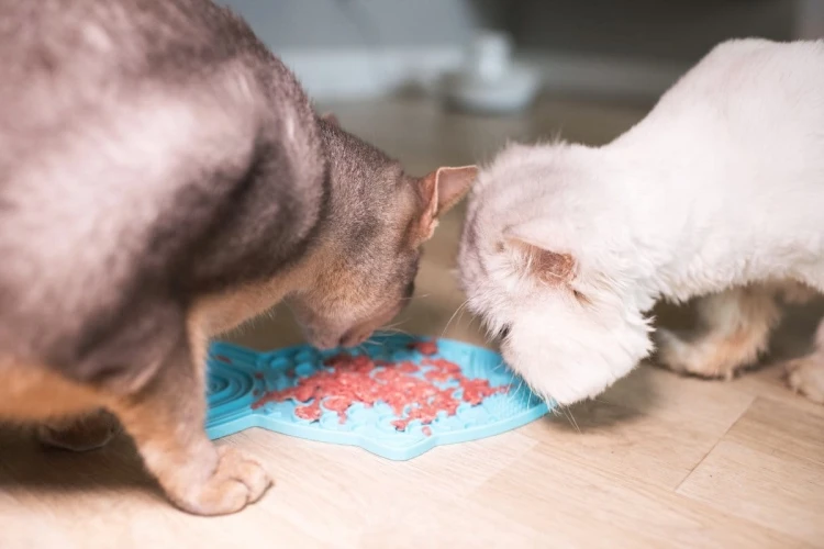 Mata LickiMat® Classic Felix™ różowa