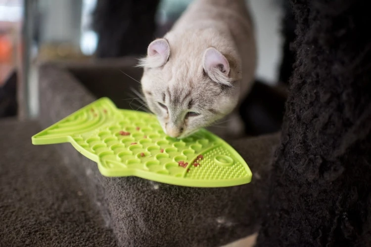 Mata LickiMat® Classic Felix™ fioletowa