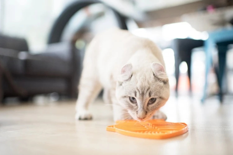 Mata LickiMat® Classic Casper™ różowa