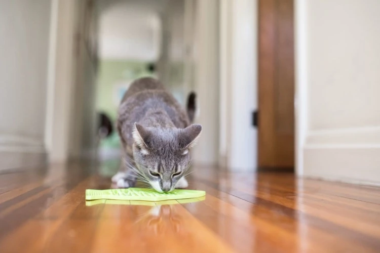 Mata LickiMat® Classic Casper™ różowa