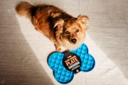 Miska spowalniająca jedzenie SLODOG® różowa dla psa i kota
