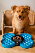 Miska spowalniająca jedzenie SLODOG® turkusowa dla psa i kota