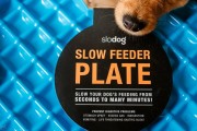 Miska spowalniająca jedzenie SLODOG® turkusowa dla psa i kota