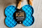 Miska spowalniająca jedzenie SLODOG® turkusowa dla psa i kota