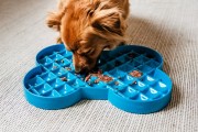 Miska spowalniająca jedzenie SLODOG® turkusowa dla psa i kota