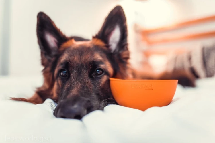 Mata LickiMat® Wobble™ turkusowa