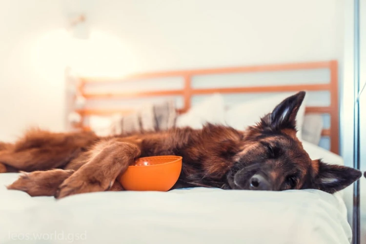 Mata LickiMat® Wobble™ turkusowa