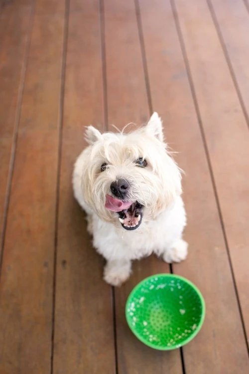 Mata LickiMat® Wobble™ zielona