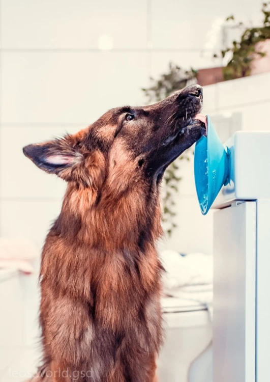 Mata LickiMat® Splash™ pomarańczowa