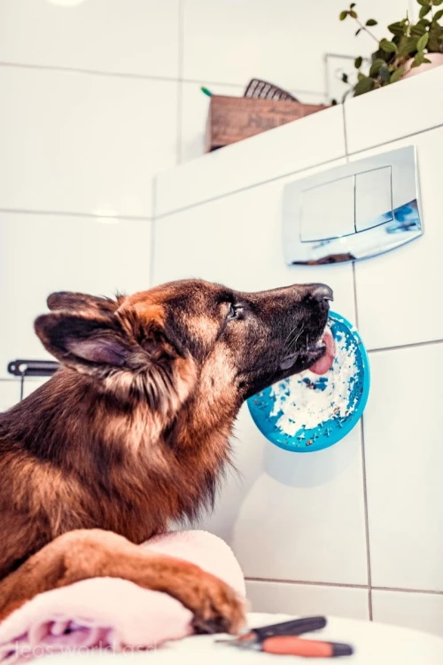 Mata LickiMat® Splash™ turkusowa