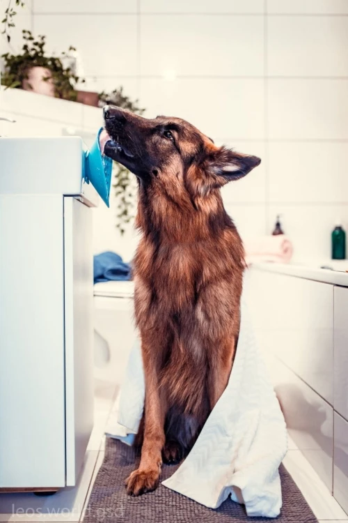 Mata LickiMat® Splash™ turkusowa