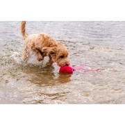 Dog Comets Alien Octo L zielony