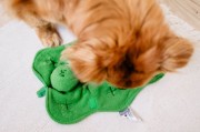 DOGLEMI Zabawka węchowa GROSZEK dla psa i kota