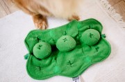 DOGLEMI Zabawka węchowa GROSZEK dla psa i kota