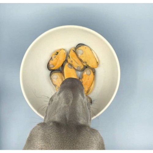 CANUMI Małża nowozelandzka 115g Przysmaki dla psa