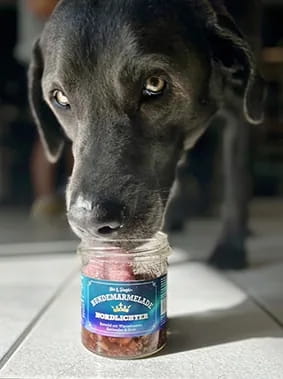 Stevi &amp; Schnück‘s Hundemarmelade Nordlichter DŻEM DOBRY ZORZA POLARNA 275g