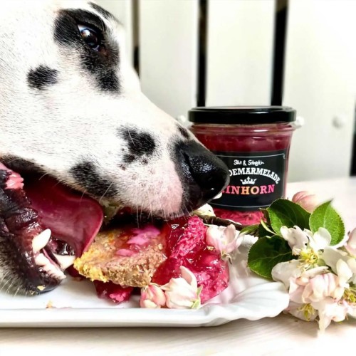 Stevi &amp; Schnück‘s Hundemarmelade Einhorn DŻEM DOBRY JEDNOROŻEC 275g