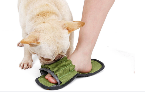 DOGLEMI Zabawka węchowa PANTOFELEK dla psa i kota