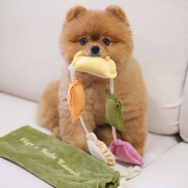 Pups &amp; Bubs RAVIOLI zabawka węchowa  dla psa i kota