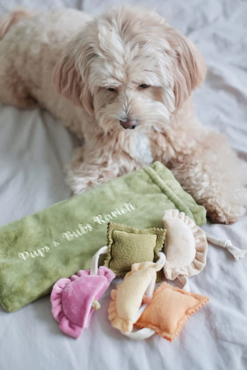 Pups &amp; Bubs RAVIOLI zabawka węchowa  dla psa i kota