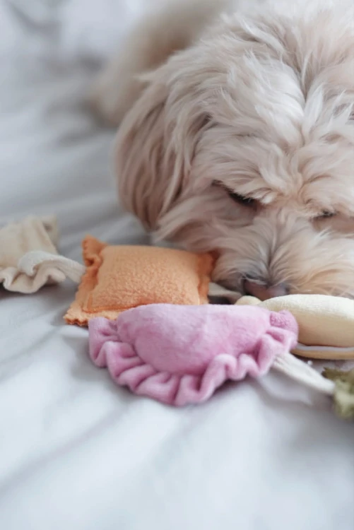Pups &amp; Bubs RAVIOLI zabawka węchowa  dla psa i kota