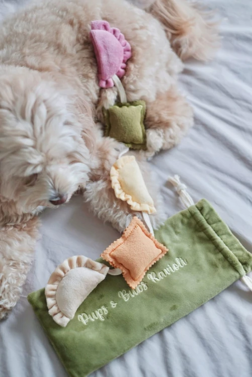 Pups &amp; Bubs RAVIOLI zabawka węchowa  dla psa i kota