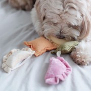 Pups &amp; Bubs RAVIOLI zabawka węchowa  dla psa i kota