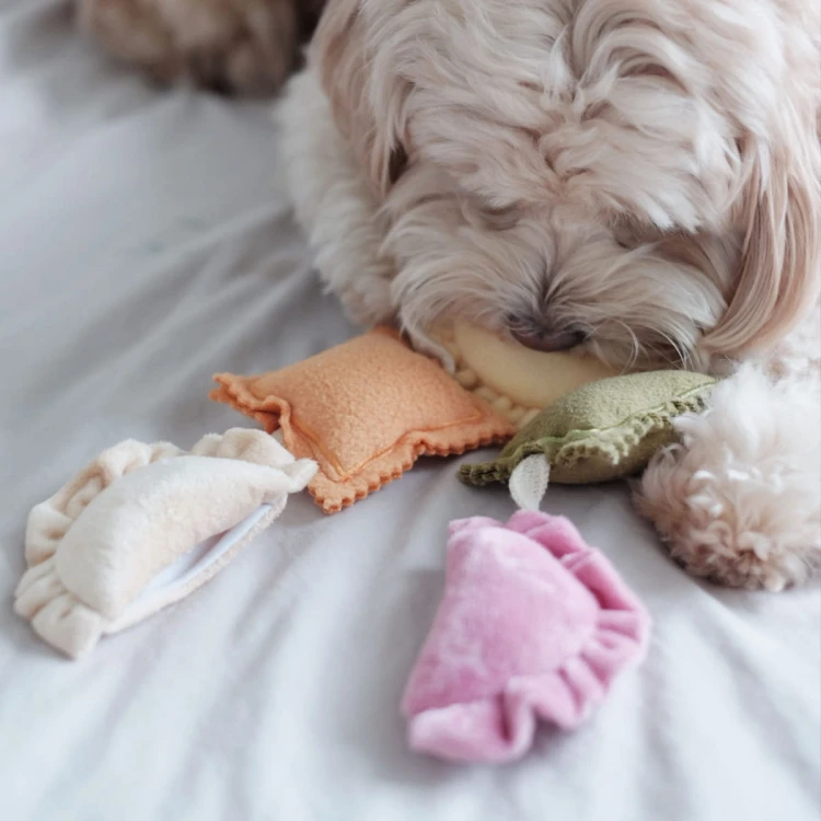 Pups &amp; Bubs RAVIOLI zabawka węchowa  dla psa i kota
