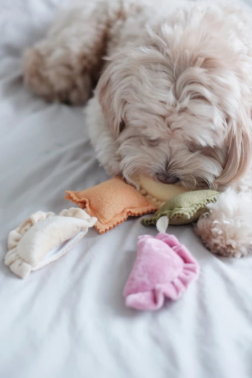 Pups &amp; Bubs RAVIOLI zabawka węchowa  dla psa i kota