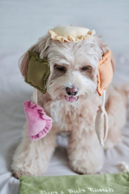 Pups &amp; Bubs RAVIOLI zabawka węchowa  dla psa i kota