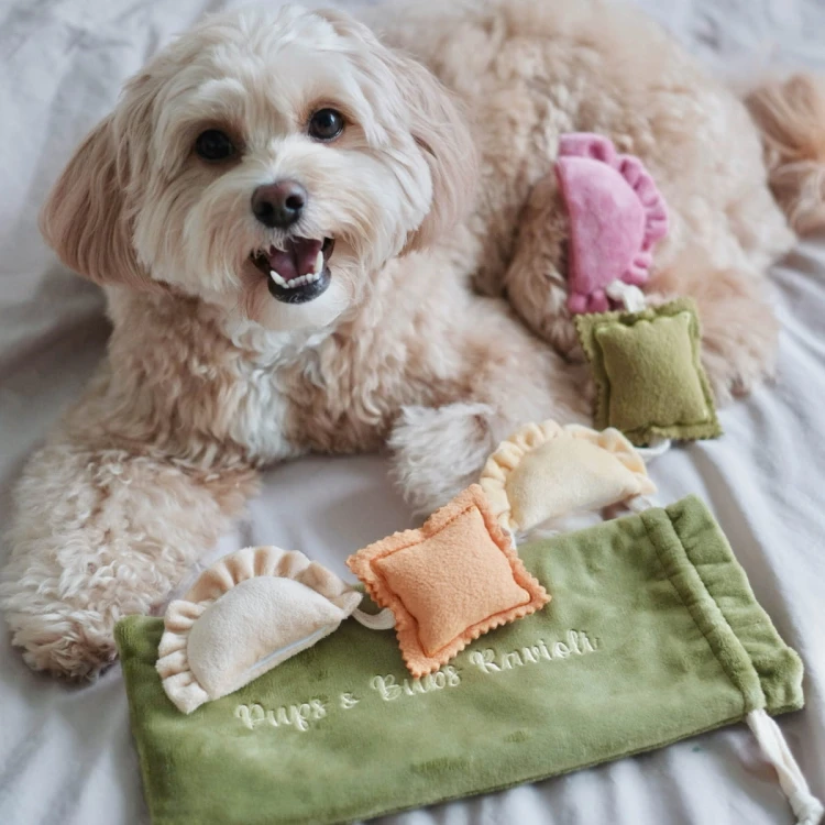 Pups &amp; Bubs RAVIOLI zabawka węchowa  dla psa i kota