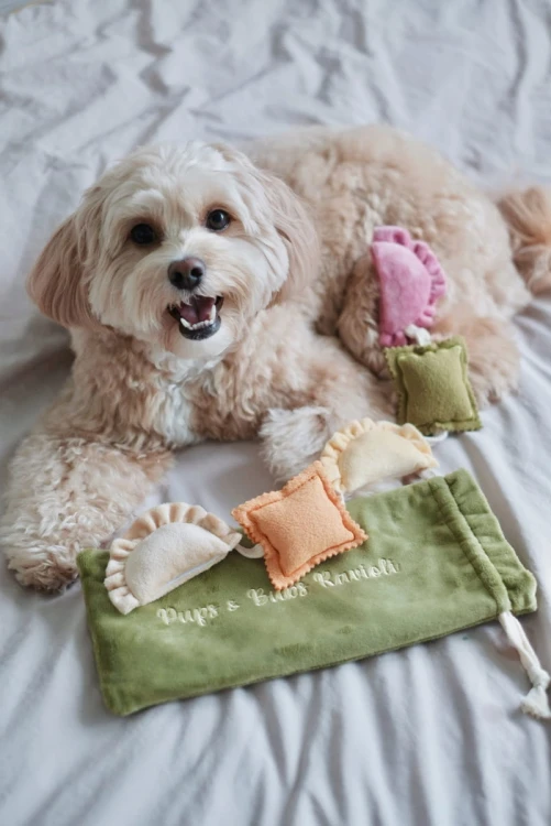 Pups &amp; Bubs RAVIOLI zabawka węchowa  dla psa i kota
