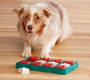Nina Ottosson Dog Brick - gra edukacyjna dla psów - poziom 2