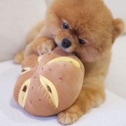 Pups &amp; Bubs CHEESY BREAD Serowa bułeczka zabawka węchowa  dla psa i kota