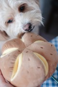 Pups &amp; Bubs CHEESY BREAD Serowa bułeczka zabawka węchowa  dla psa i kota