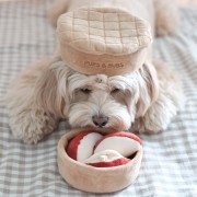Pups &amp; Bubs APPLE PIE Szarlotka zabawka węchowa  dla psa i kota
