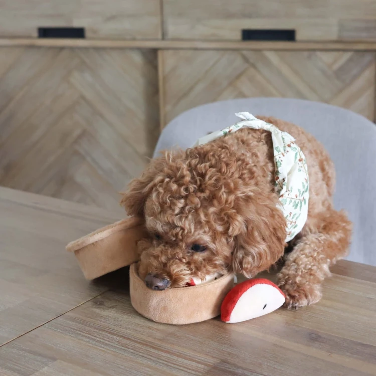 Pups &amp; Bubs APPLE PIE Szarlotka zabawka węchowa  dla psa i kota