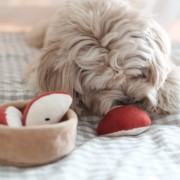 Pups &amp; Bubs APPLE PIE Szarlotka zabawka węchowa  dla psa i kota