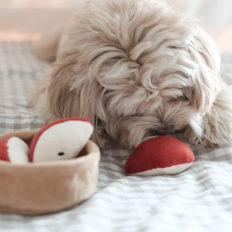 Pups &amp; Bubs APPLE PIE Szarlotka zabawka węchowa  dla psa i kota
