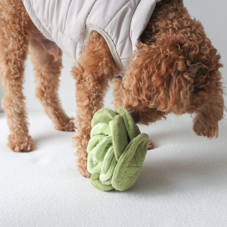 Pups &amp; Bubs SNUFFLE CABBAGE Kapusta zabawka węchowa  dla psa i kota