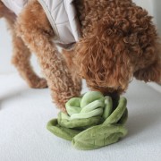 Pups &amp; Bubs SNUFFLE CABBAGE Kapusta zabawka węchowa  dla psa i kota