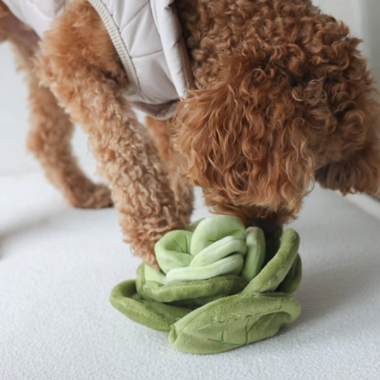 Pups &amp; Bubs SNUFFLE CABBAGE Kapusta zabawka węchowa  dla psa i kota