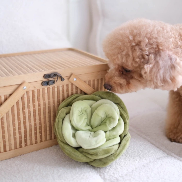 Pups &amp; Bubs SNUFFLE CABBAGE Kapusta zabawka węchowa  dla psa i kota