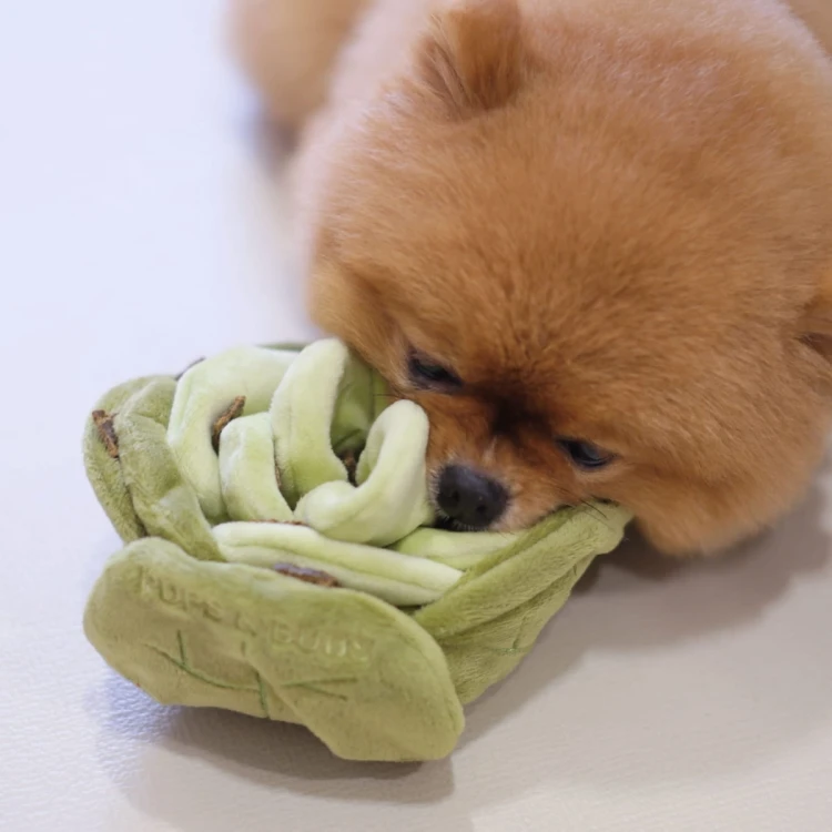 Pups &amp; Bubs SNUFFLE CABBAGE Kapusta zabawka węchowa  dla psa i kota