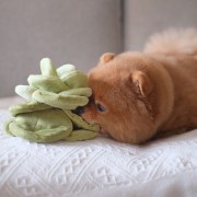 Pups &amp; Bubs SNUFFLE CABBAGE Kapusta zabawka węchowa  dla psa i kota