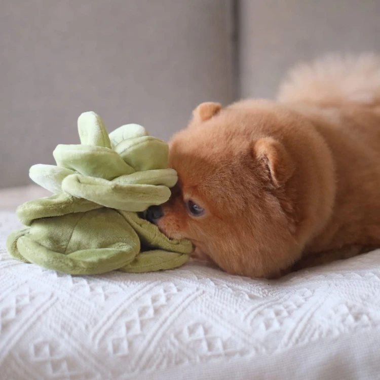 Pups &amp; Bubs SNUFFLE CABBAGE Kapusta zabawka węchowa  dla psa i kota